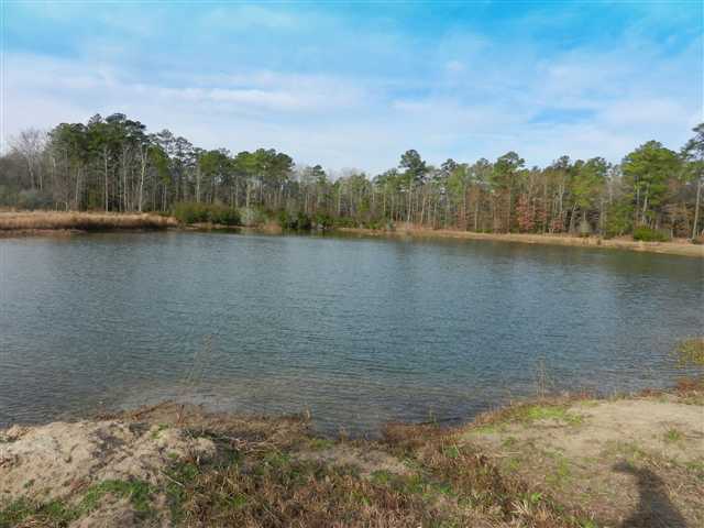 16.6-ac Clear Pond Road Conway, SC 29526 - Photo 8 of 10 Gallery Image 8