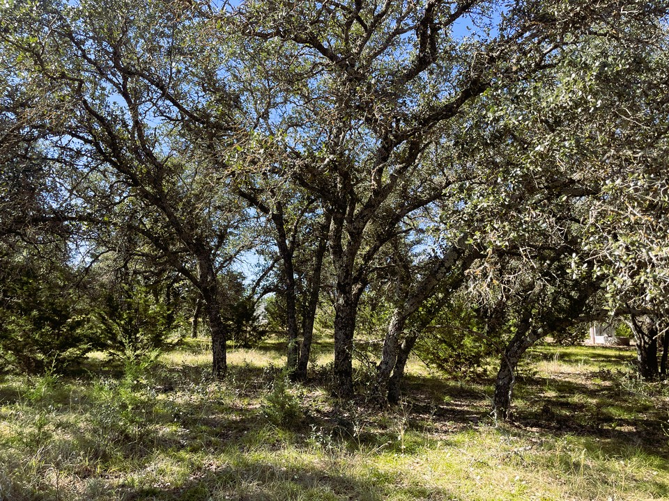1276 Fm 574 Street West Mullin, TX 76864 - Photo 11 of 40