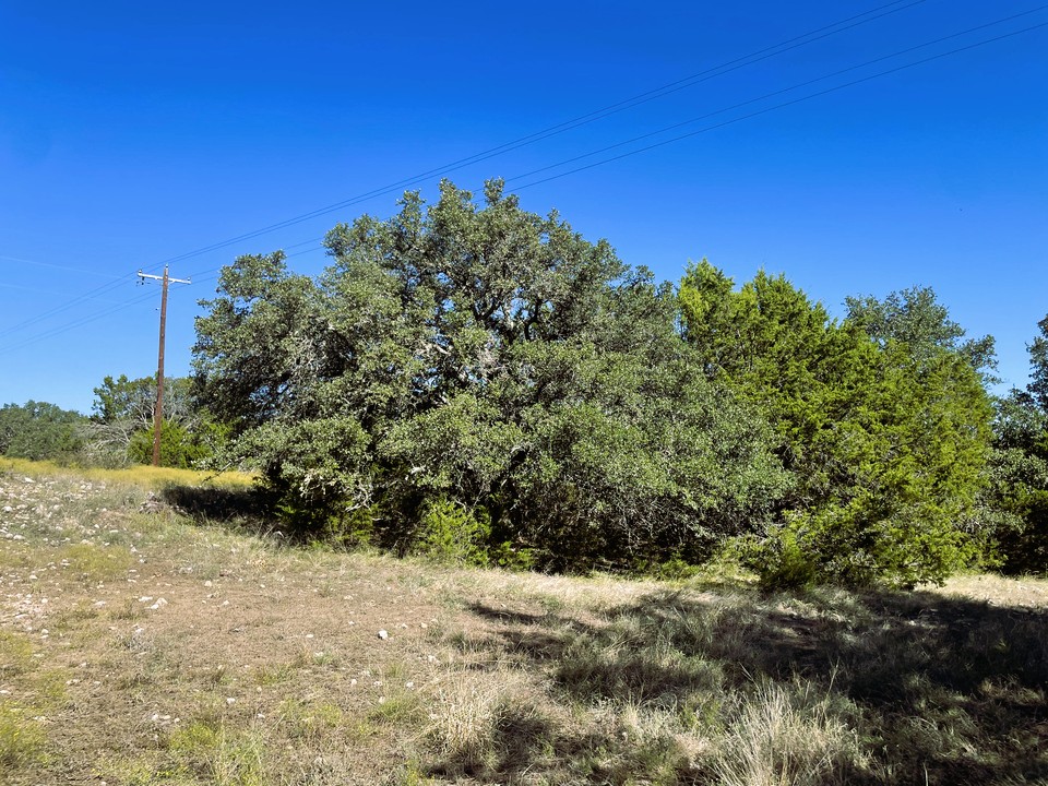 1276 Fm 574 Street West Mullin, TX 76864 - Photo 14 of 40 a view of a large yard with lots of green space