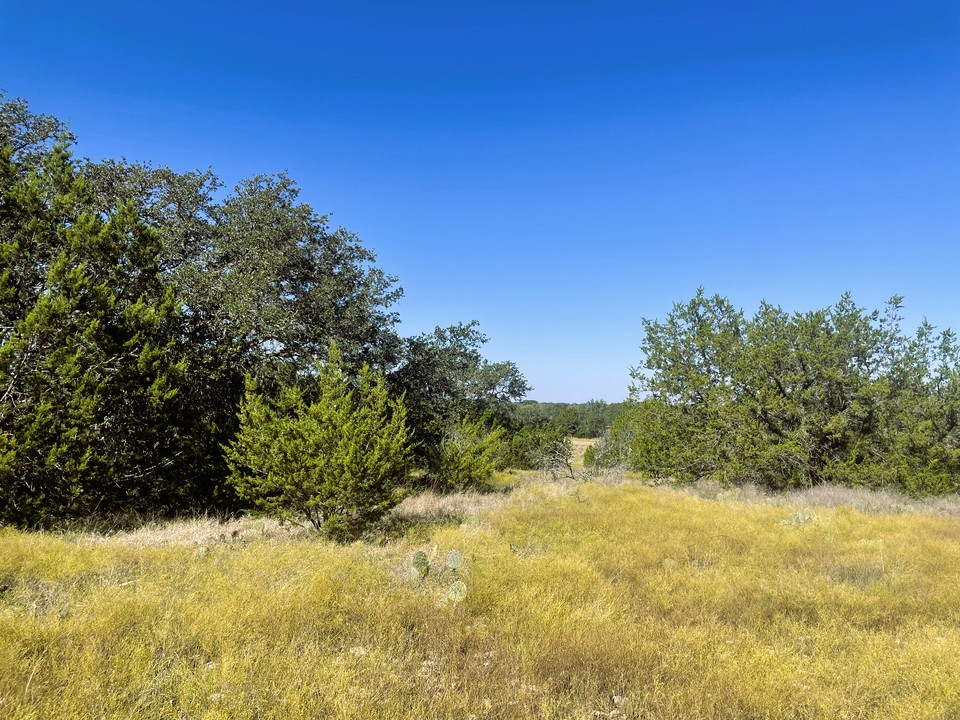 1276 Fm 574 Street West Mullin, TX 76864 - Photo 19 of 40 a view of a yard with a tree