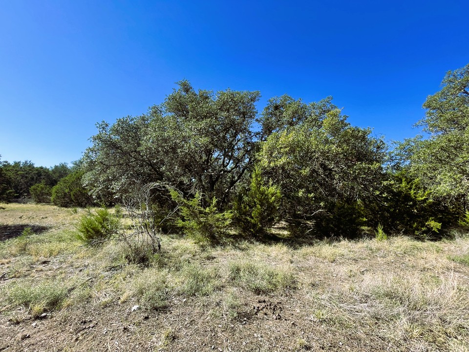 1276 Fm 574 Street West Mullin, TX 76864 - Photo 29 of 40 a view of a large yard with lots of green space