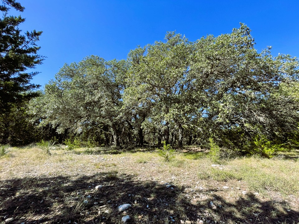 1276 Fm 574 Street West Mullin, TX 76864 - Photo 30 of 40 a view of a yard with trees