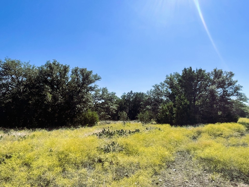 1276 Fm 574 Street West Mullin, TX 76864 - Photo 35 of 40 a view of yard and mountain view