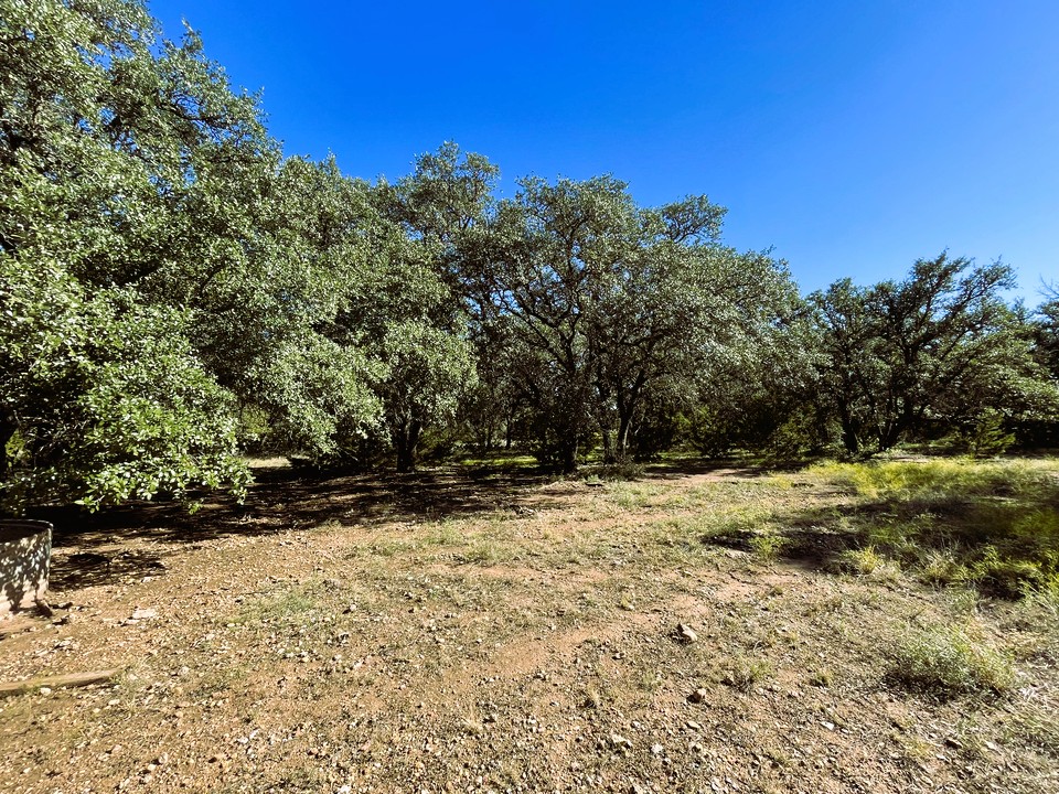 1276 Fm 574 Street West Mullin, TX 76864 - Photo 5 of 40 a view of a yard with trees