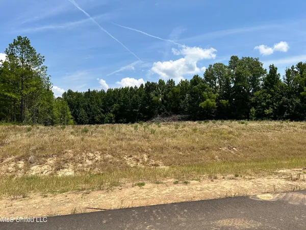 $95,000 | 25 Riverwood Cove Lake, Lake Cormorant, MS 38641