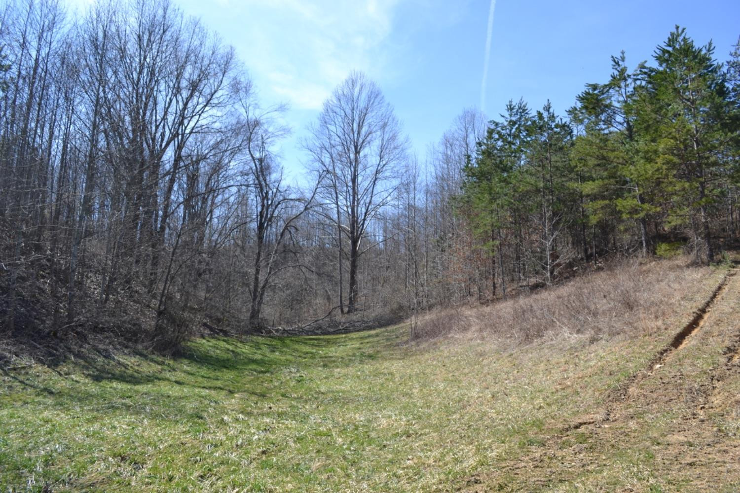 1216 Leger Fork Road Tyner, KY 40486 - Photo 64 of 68 Photo 64