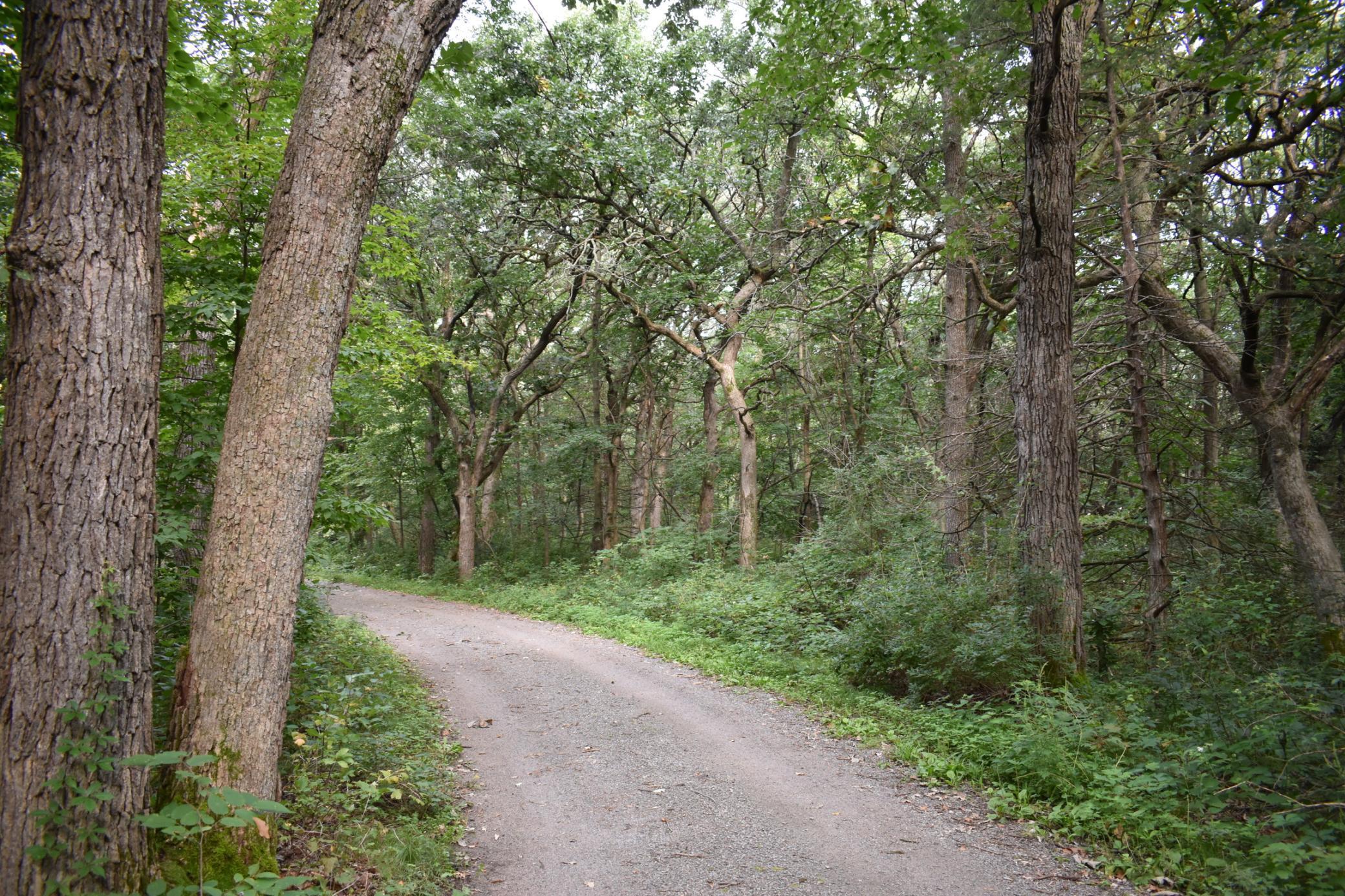 0 River Road Southeast St. Cloud, MN 56304 - Photo 1 of 1 Gallery Image 1