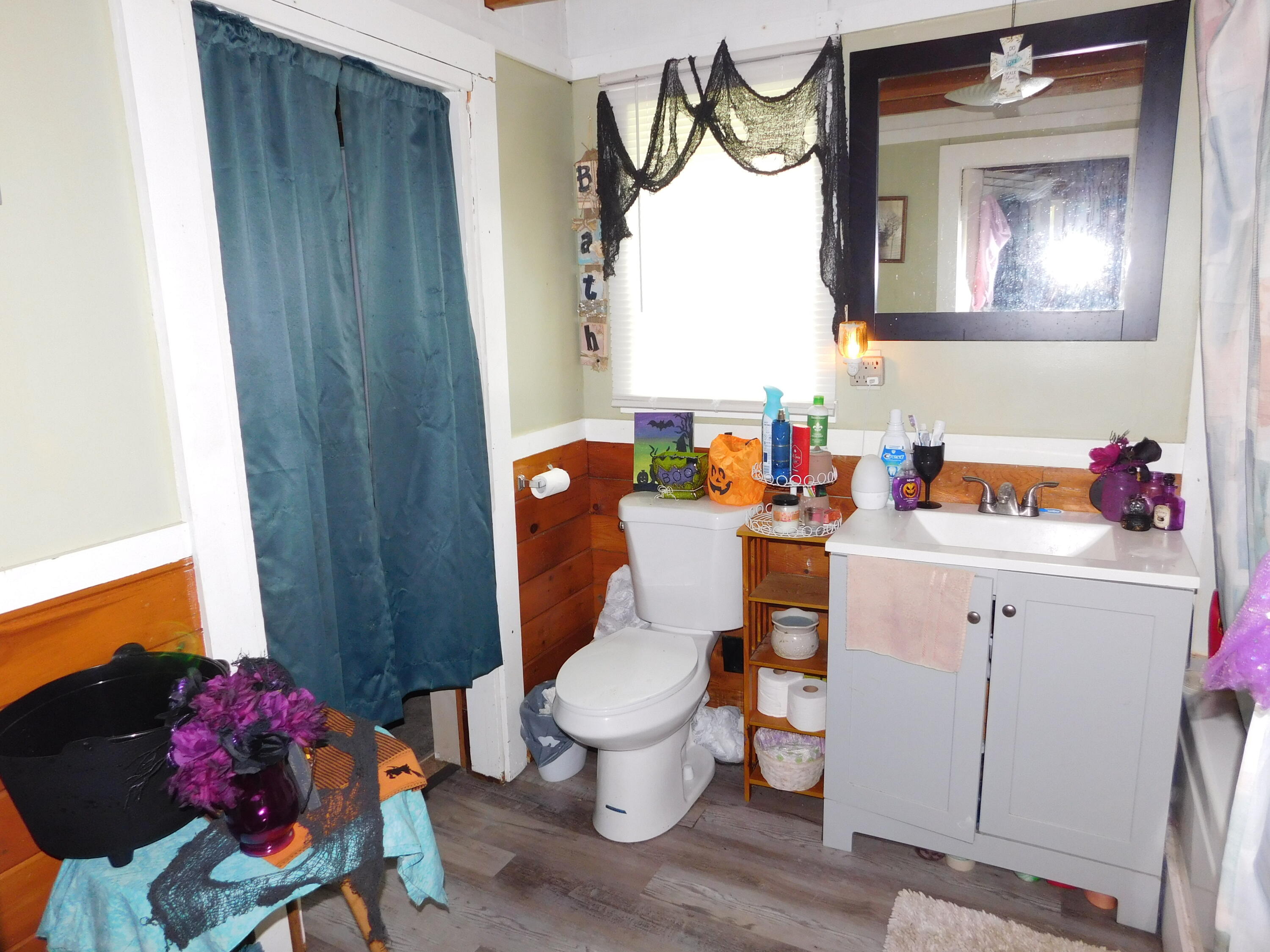 10 Call Road Milford, ME 04461 - Photo 56 of 57 DSCN2192