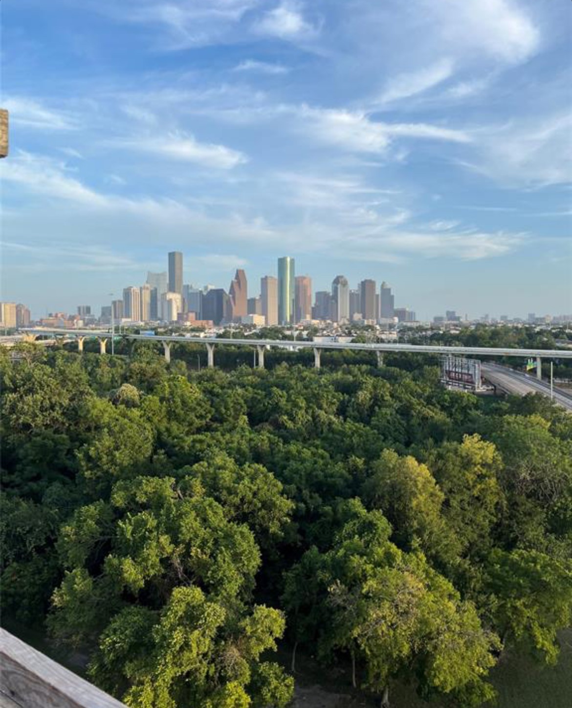 2520 Houston Avenue, Unit 701 Houston, TX 77009 - Photo 9 of 9 a view of a city with lots of trees
