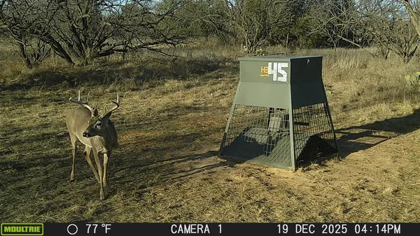 a view of a backyard of the house