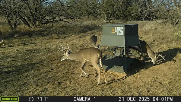 a view of a back yard