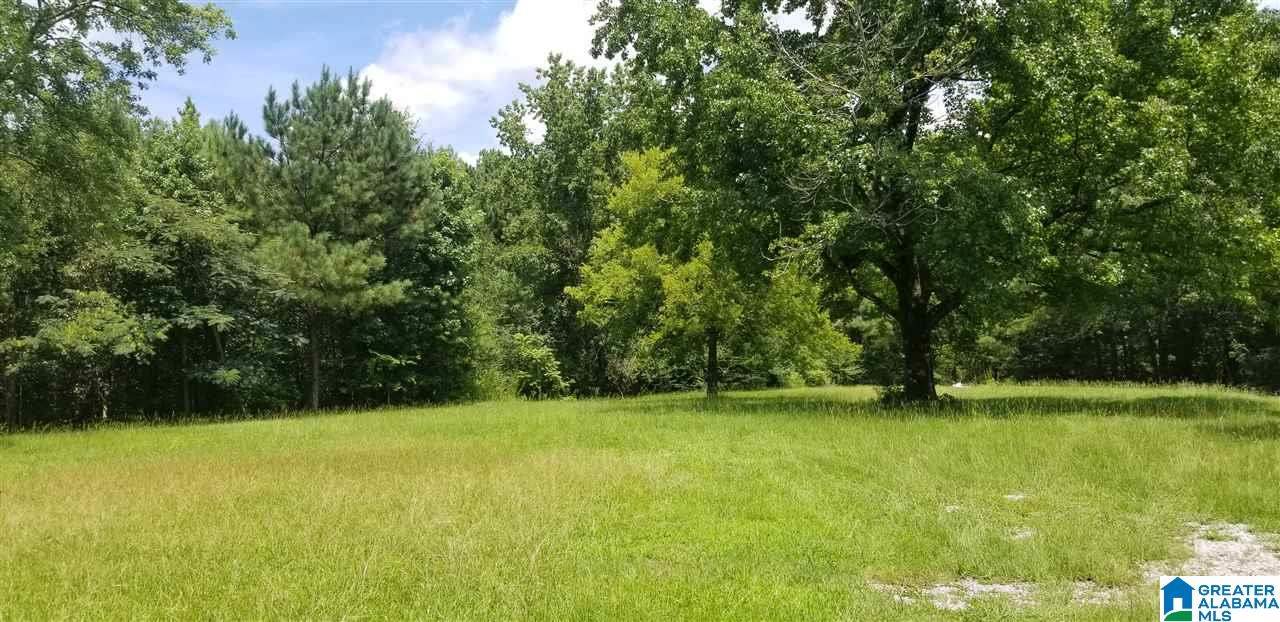 173 Beagle Club Road, Unit 1 2 Empire, AL 35063 - Photo 3 of 20