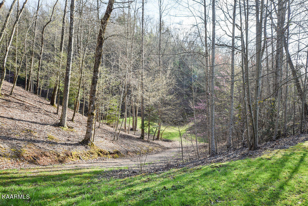 130 High Top Road Reliance, TN 37369 - Photo 6 of 8 DSC_0885
