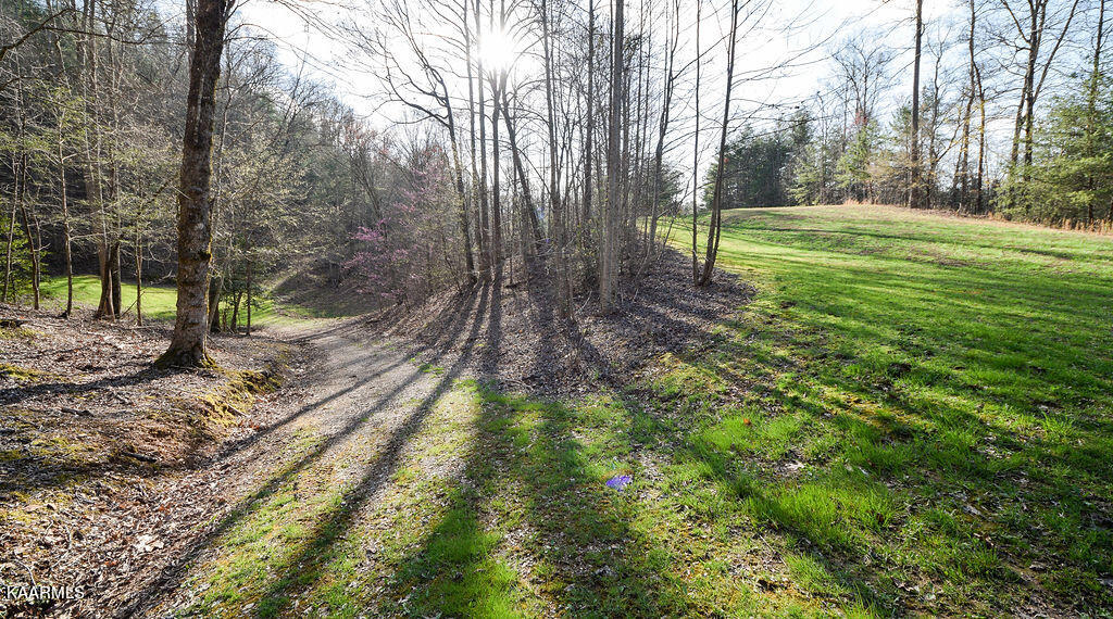 130 High Top Road Reliance, TN 37369 - Photo 7 of 8 DSC_0890
