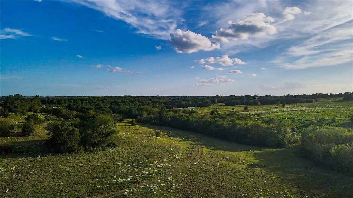 Tbd Oil Field Road Brenham, TX 77833 - Photo 17 of 32 Gallery Image 17