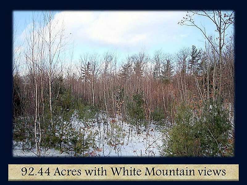 Lot 15 South Road Parsonsfield, ME 04047 - Photo 13 of 23 Other.