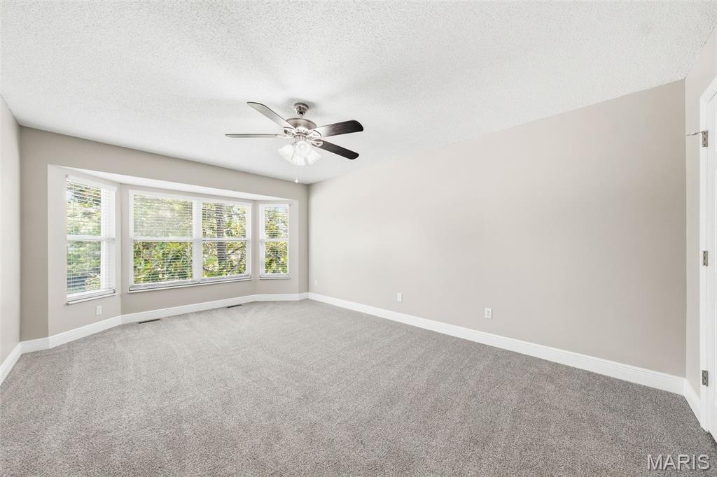 3 Declaration Trail O'Fallon, MO 63368 - Photo 17 of 24