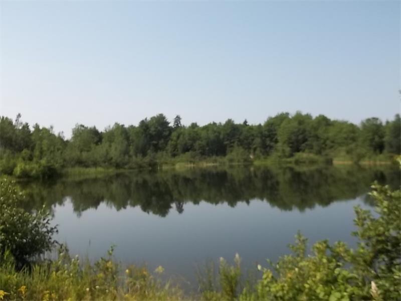 202 Pooler Pit Road Wiscasset, ME 04578 - Photo 9 of 17 other pond