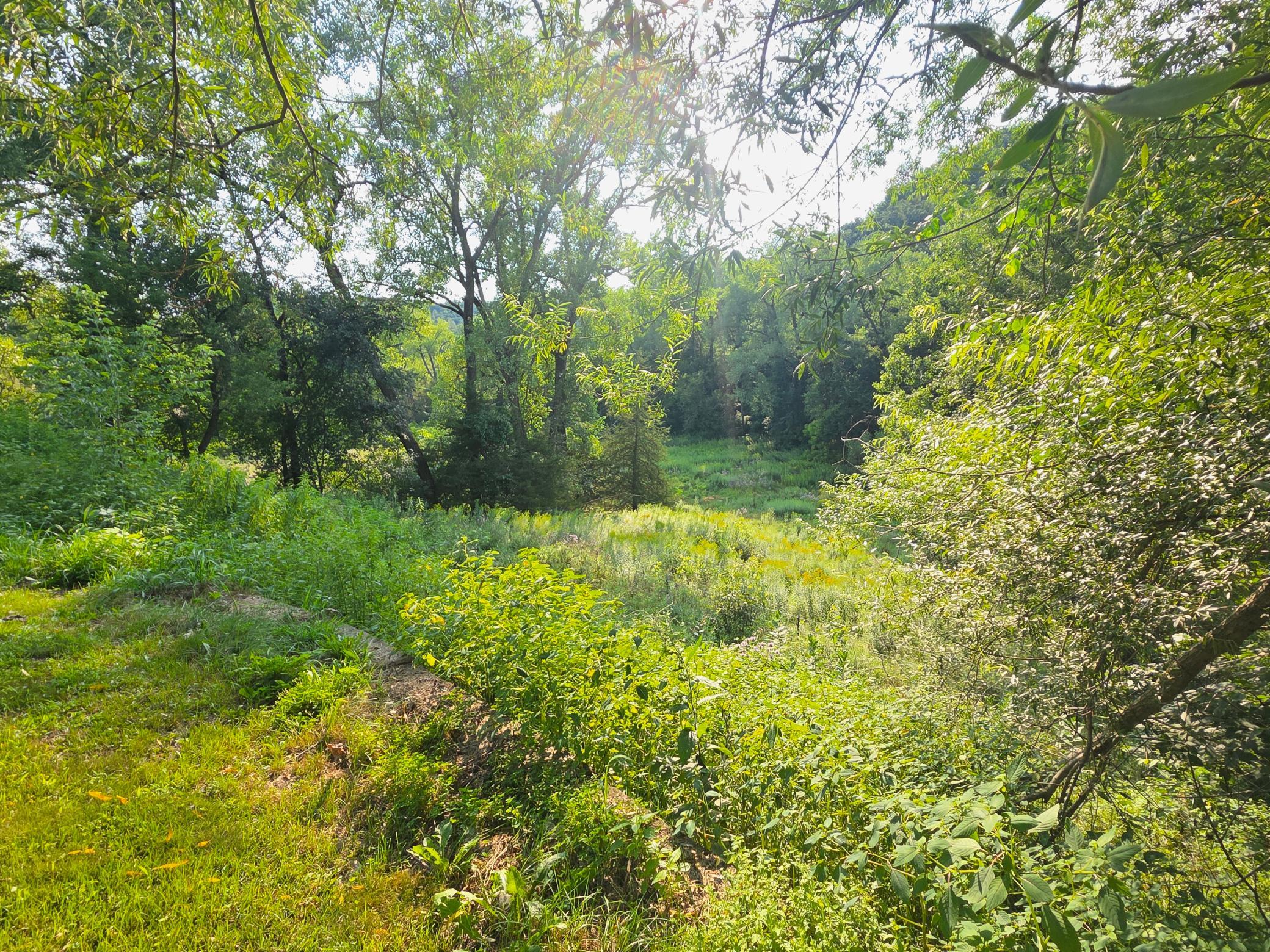 4488 Ferndale Road Rushford, MN 55971 - Photo 15 of 55 Gallery Image 15