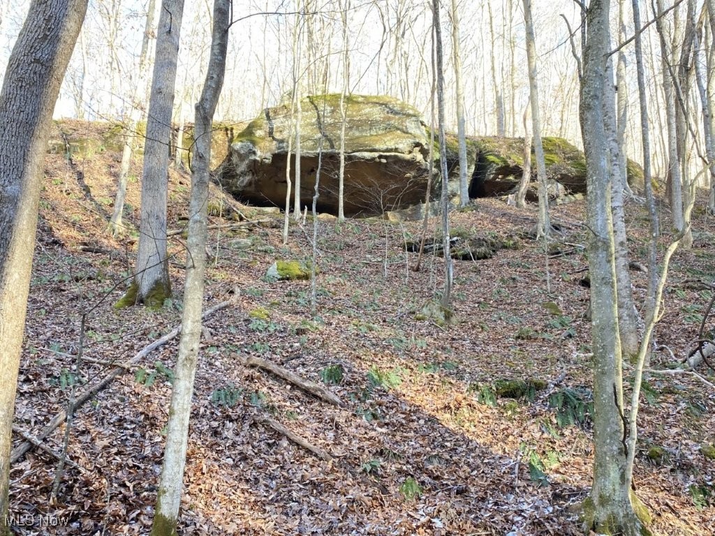 88 Ivy Road Walton, WV 25286 - Photo 15 of 37