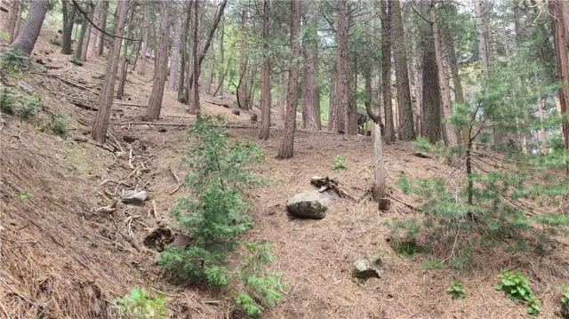 a view of a backyard of the house