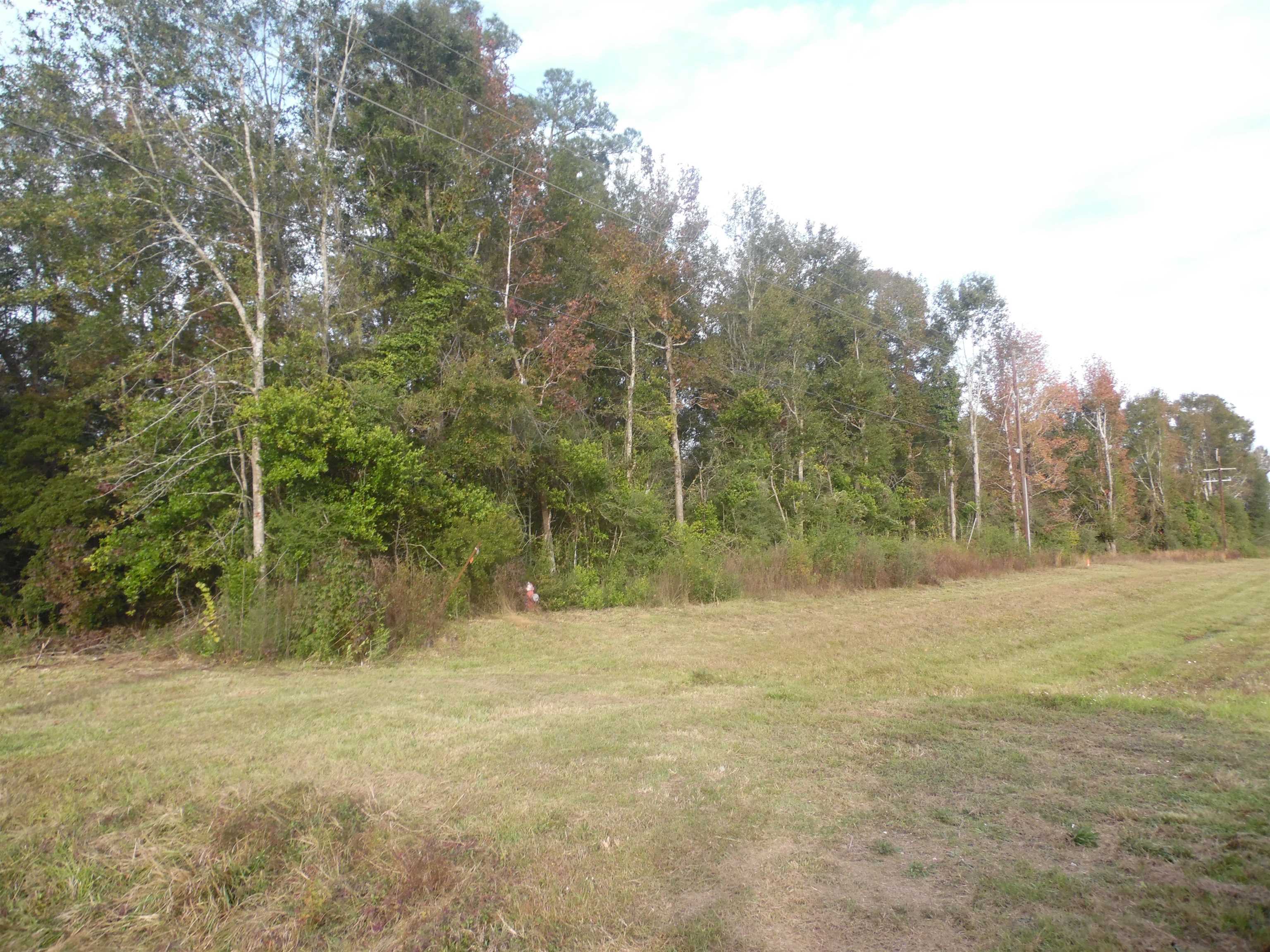855 Gentry Drive Silsbee, TX 77656 - Photo 24 of 25