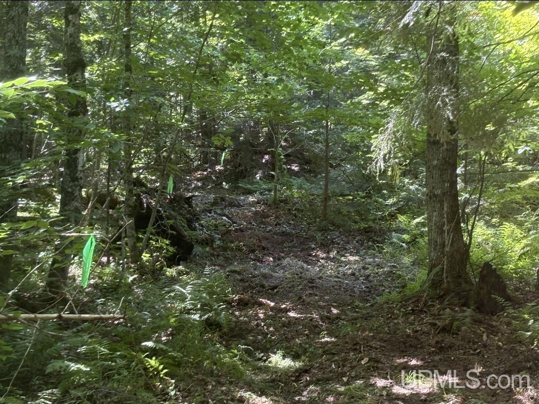 94-acres Peter White Road Deerton, MI 49822 - Photo 5 of 24
