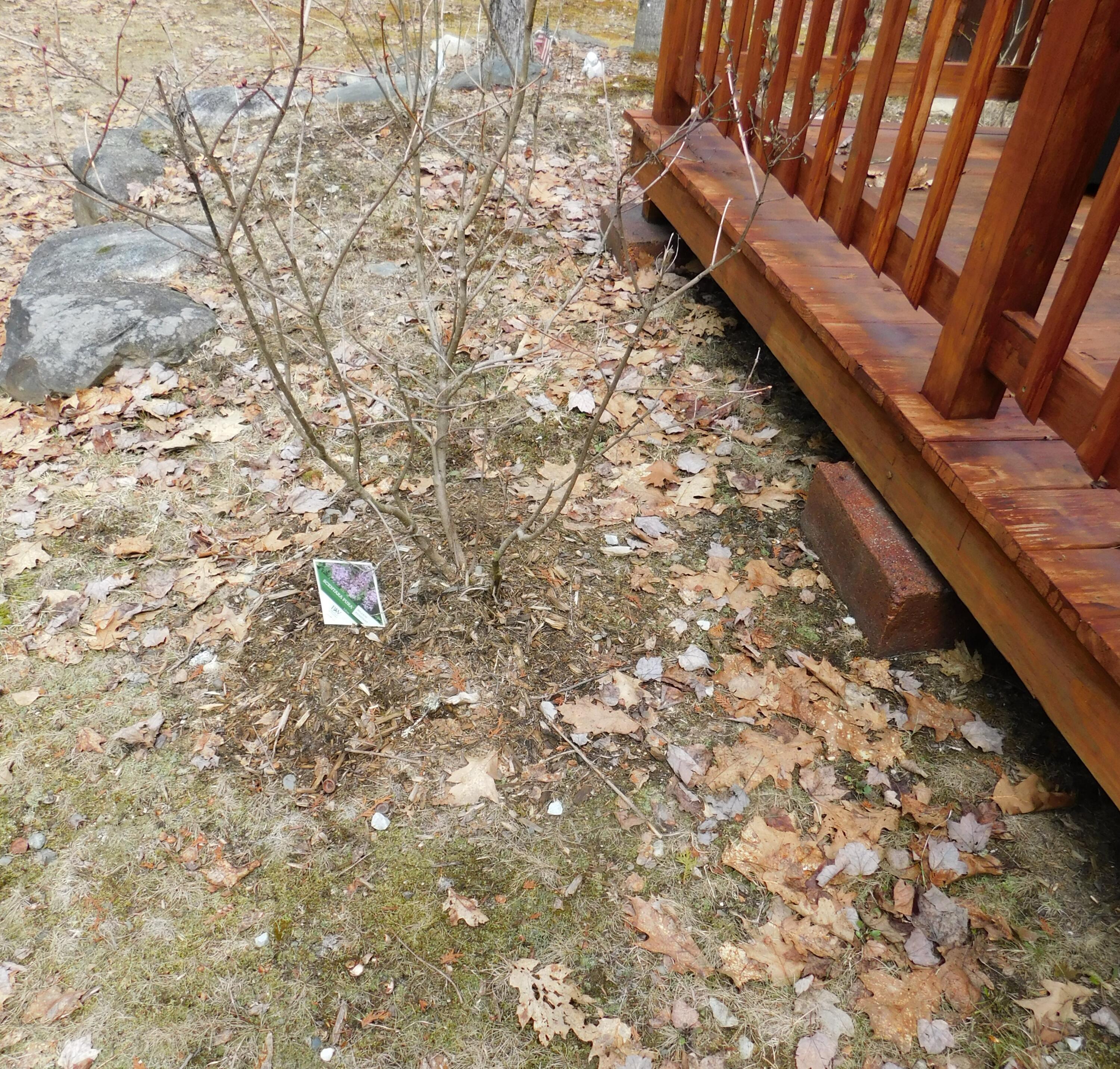 217 Troy Road Detroit, ME 04929 - Photo 20 of 39 DSCN8611