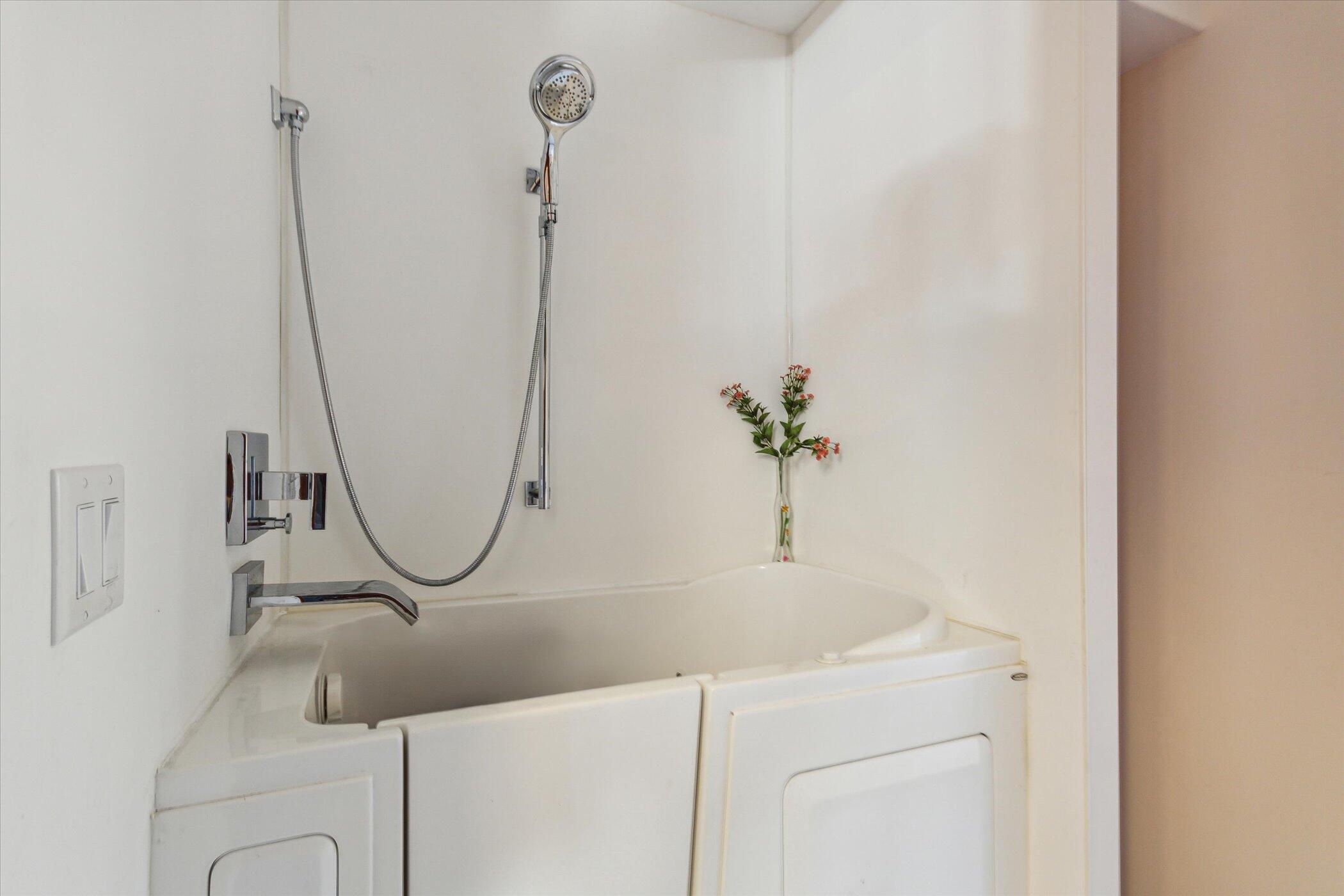 4650 Moon Lake Road Jackson, MI 49201 - Photo 14 of 52 Walk-in tub/shower