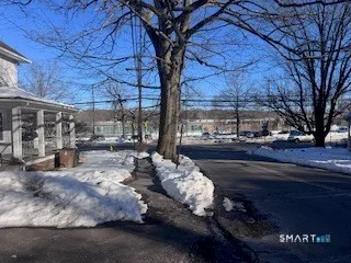 a view of yard along with trees