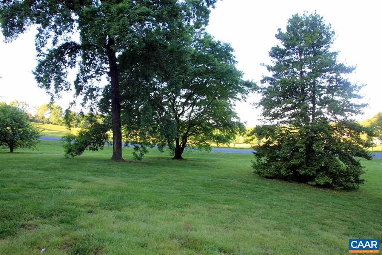 88 Good Hope Church Road Aroda, VA 22709 - Photo 25 of 30 a view of a trees with a big yard