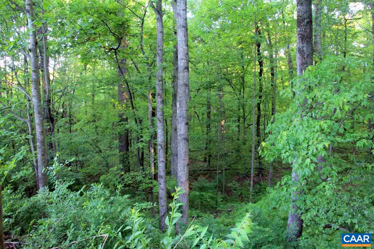 88 Good Hope Church Road Aroda, VA 22709 - Photo 26 of 30 a view of a lush green forest
