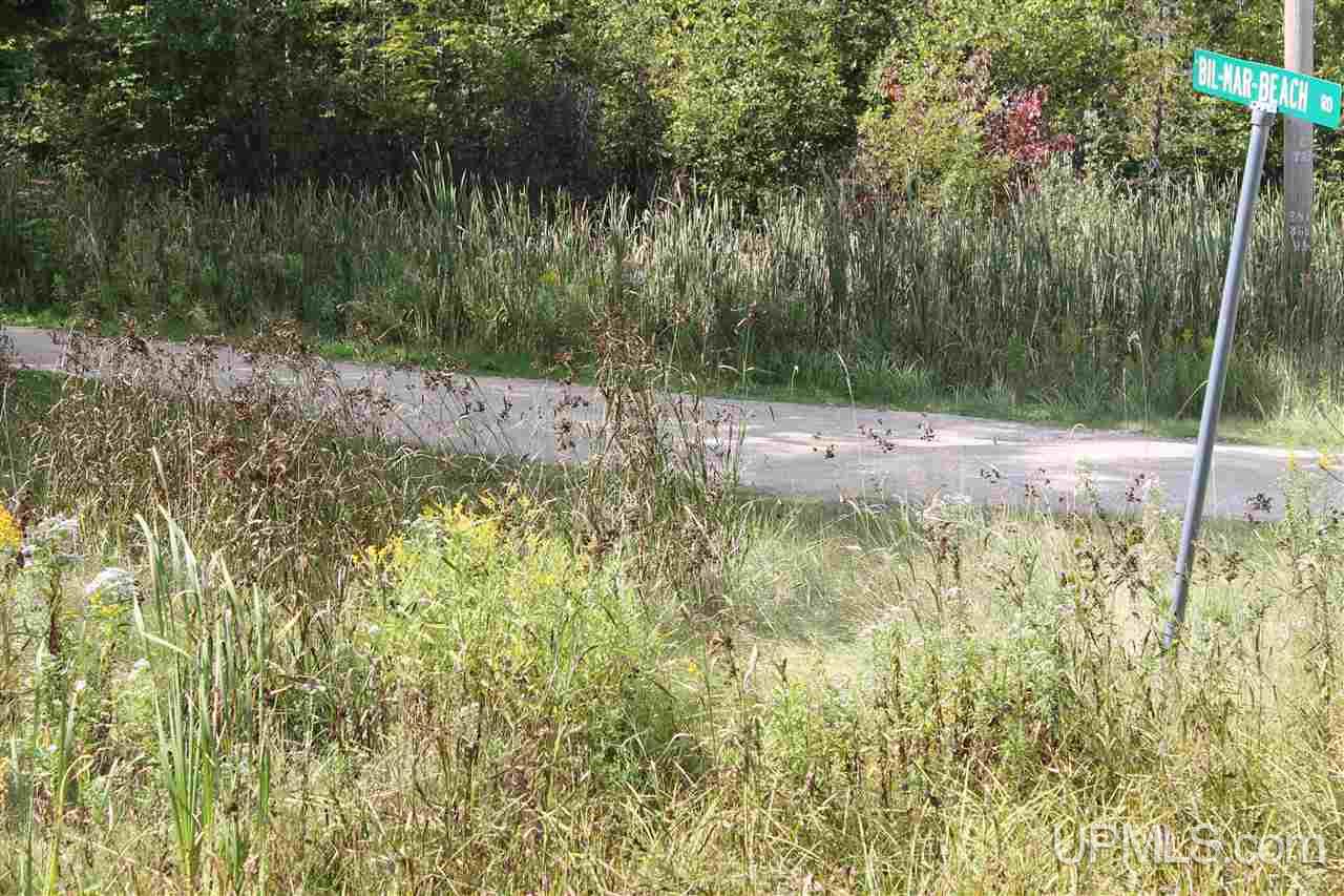 Tbd Bil Mar Beach Road, Unit A McMillan, MI 49820 - Photo 2 of 9