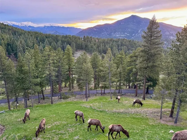 $4,500,000 | 334 Red Lily Place, Evergreen, CO 80439