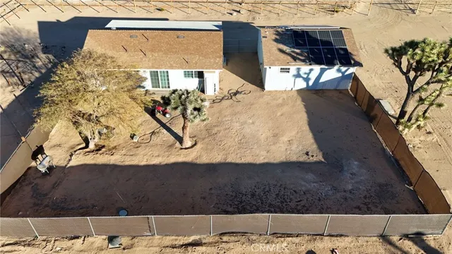 a view of trees in a backyard