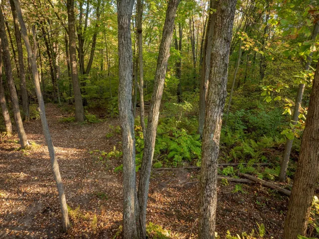 $365,000 | 14298 Cross Lake Road, Pine City, MN 55063