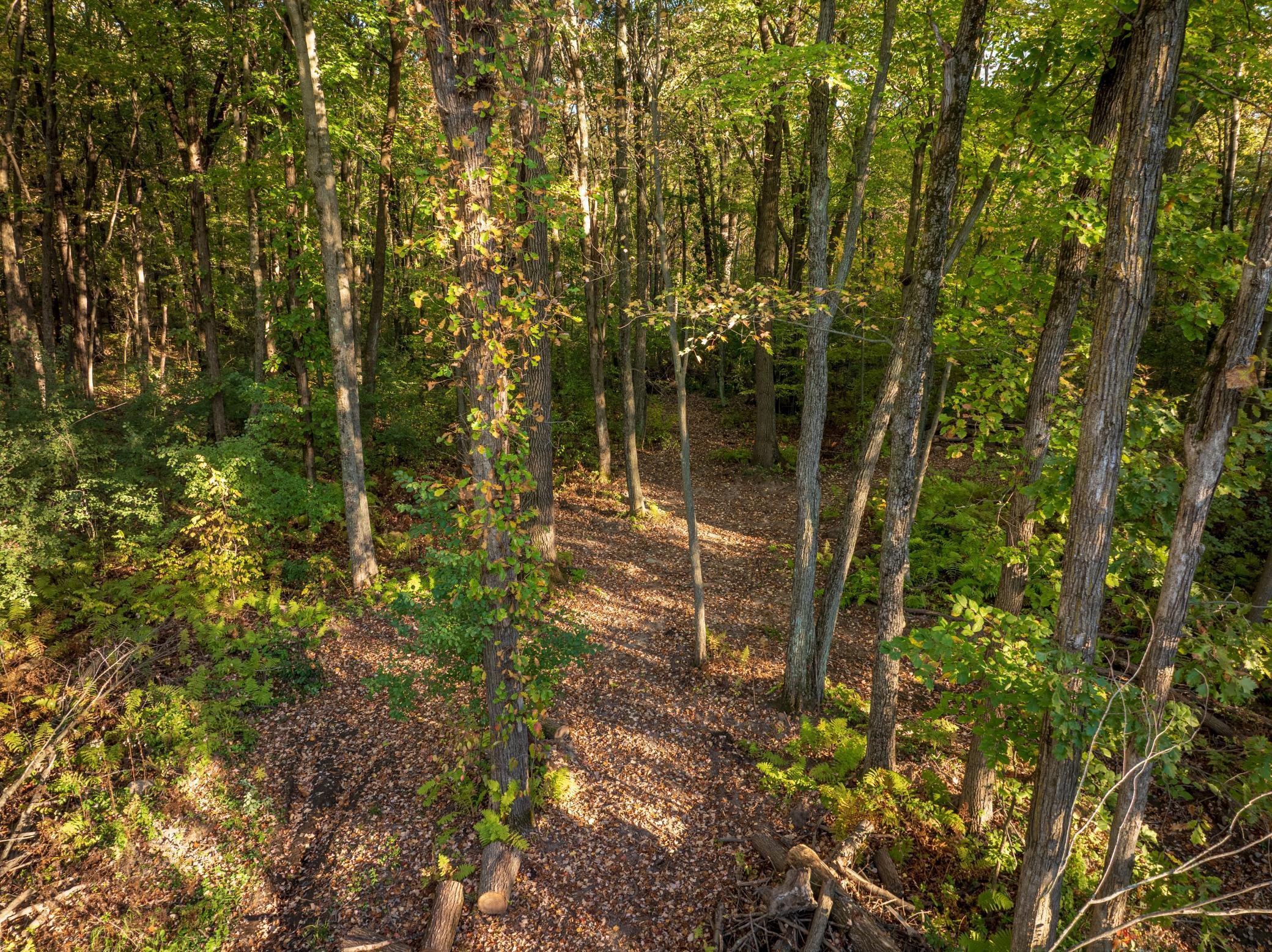 14298 Cross Lake Road Pine City, MN 55063 - Photo 7 of 46