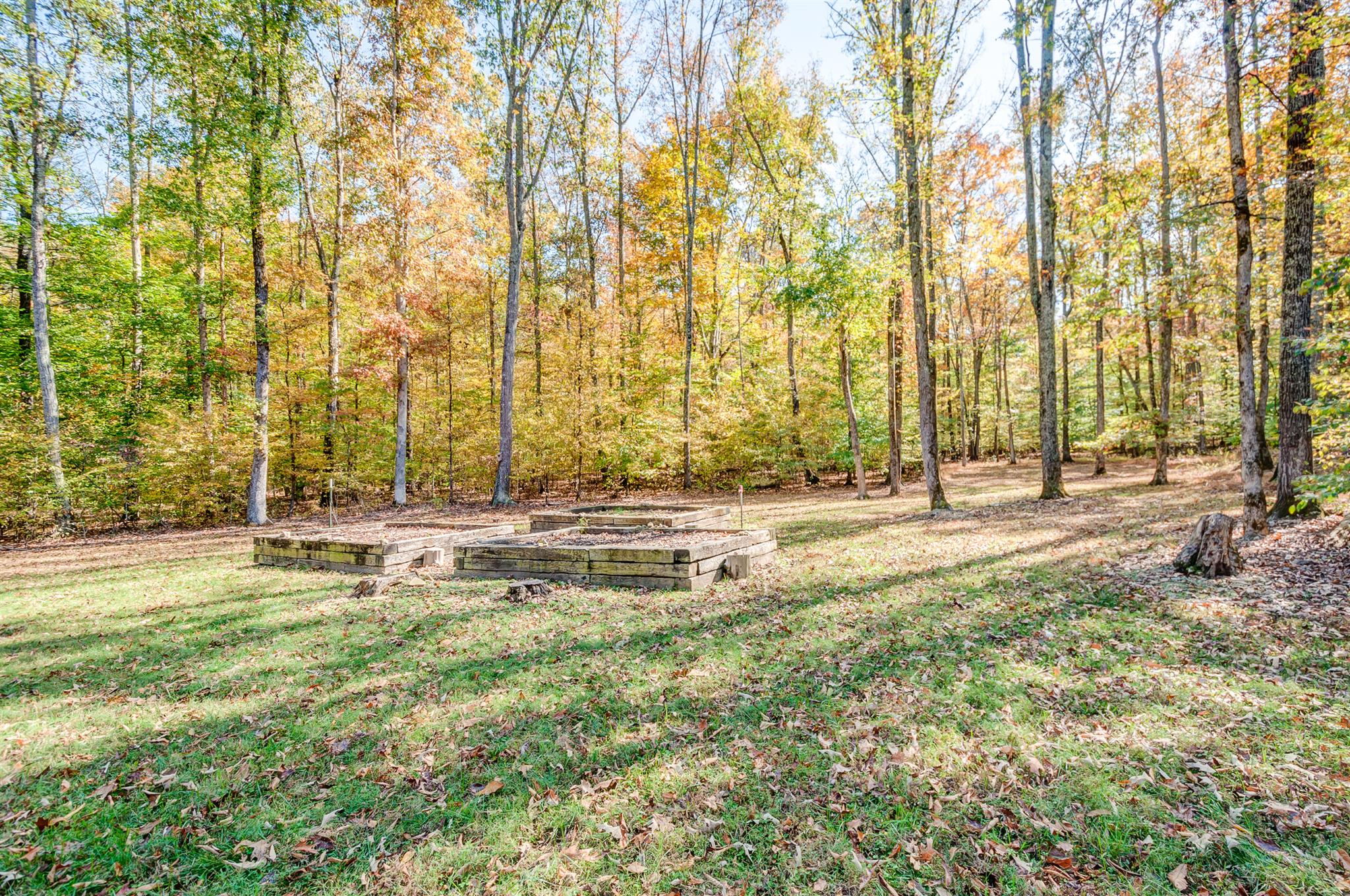 1635 R Prairie Duck River, TN 38454 - Photo 26 of 30 Gallery Image 26
