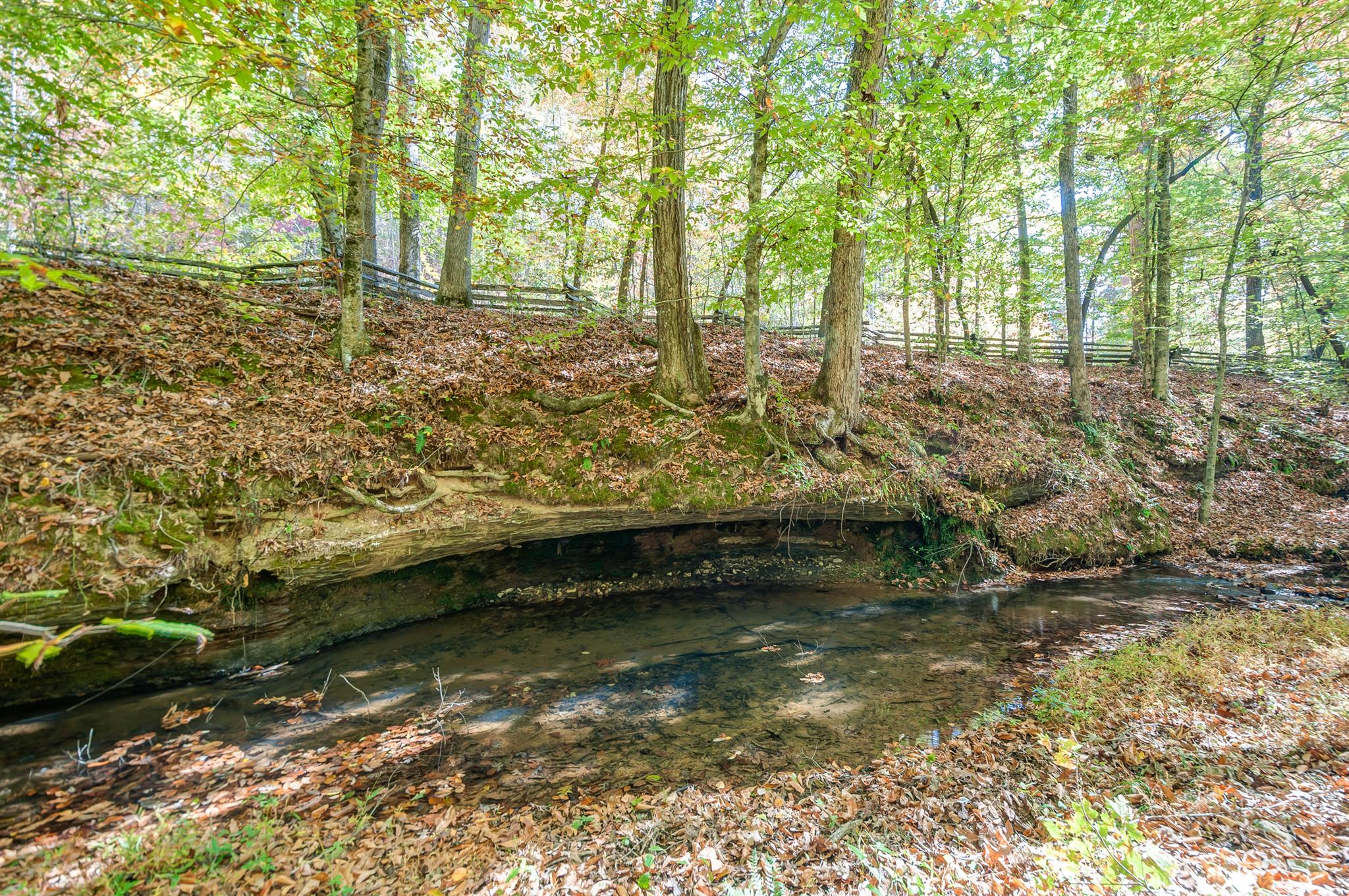 1635 R Prairie Duck River, TN 38454 - Photo 29 of 30 Gallery Image 29