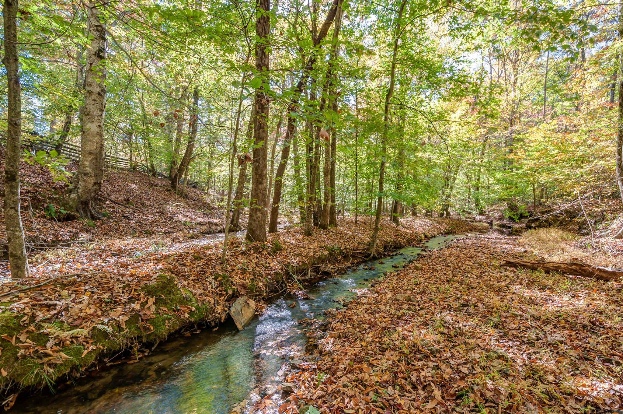 1635 R Prairie Duck River, TN 38454 - Photo 30 of 30 Gallery Image 30