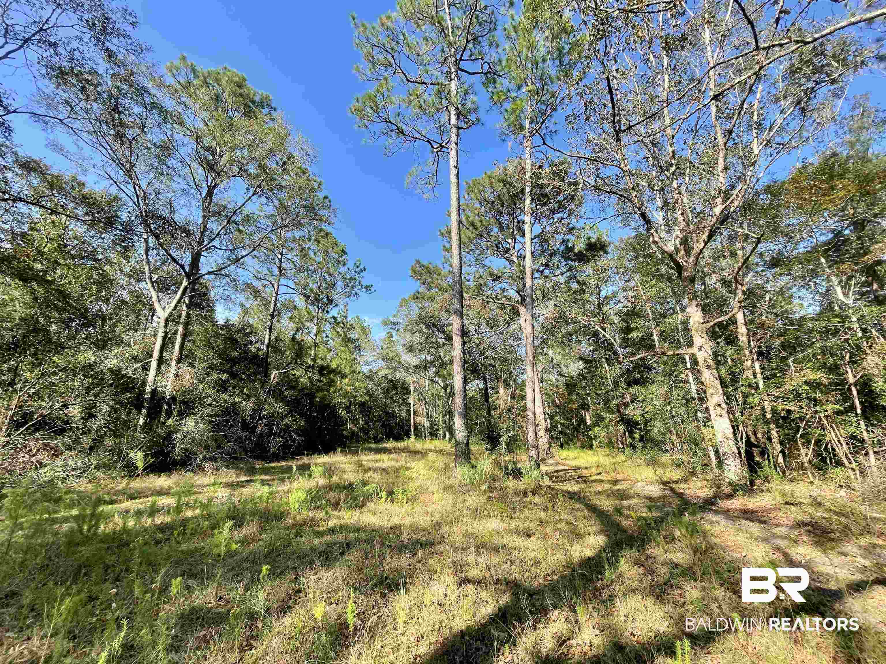 0 Country Road Vinegar Bend, AL 36584 - Photo 27 of 46