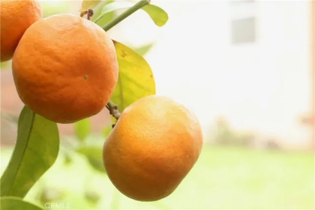 $759,000 | 18311 Harvard Boulevard, Gardena, CA 90248