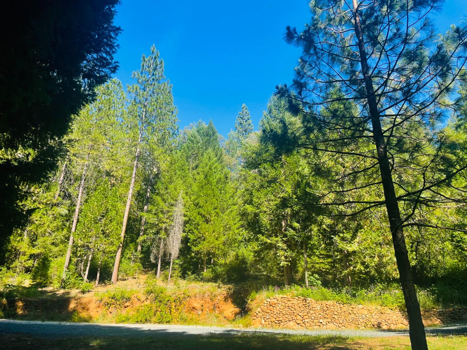 12846 Alpha Loop Washington, CA 95986 - Photo 6 of 8