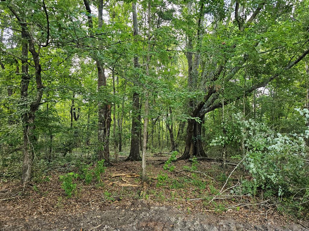L5 New Hinson Road Slocomb, AL 36375 - Photo 20 of 23