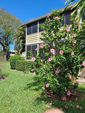 a view of a backyard with plants and a bench