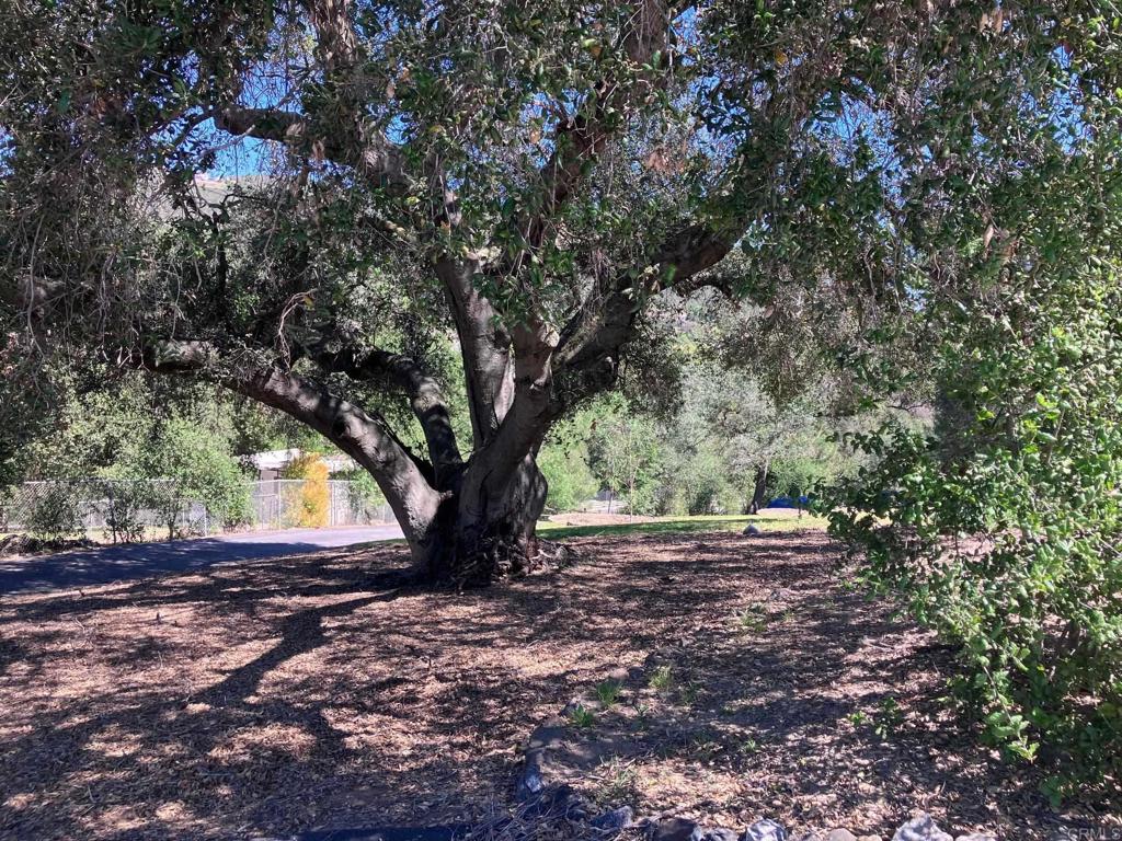 14765 Woods Valley Road Valley Center, CA 92082 - Photo 39 of 52