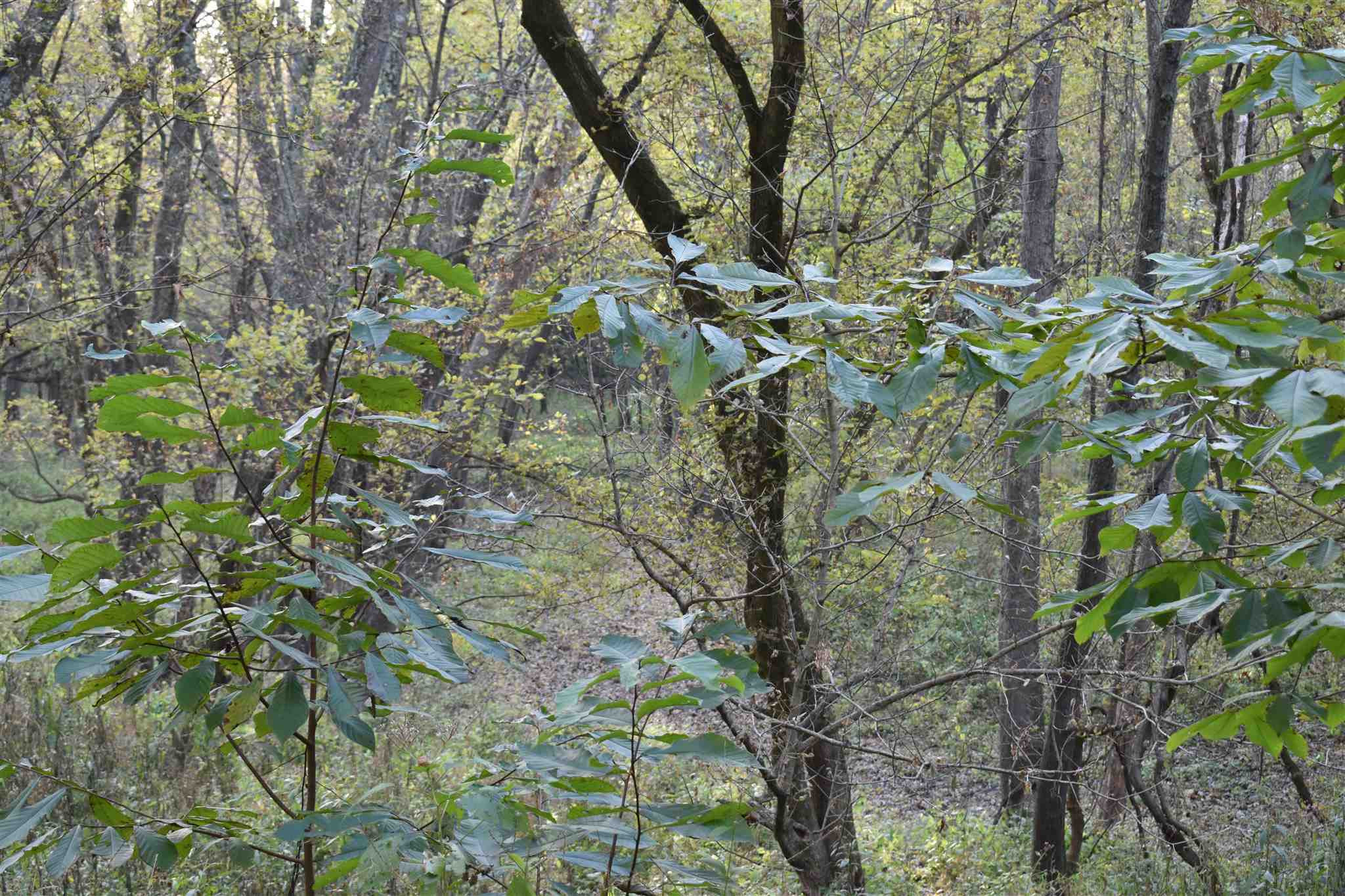 Rabbit Hash Rd Union Burlington, KY 41005 - Photo 17 of 24 Gallery Image 17