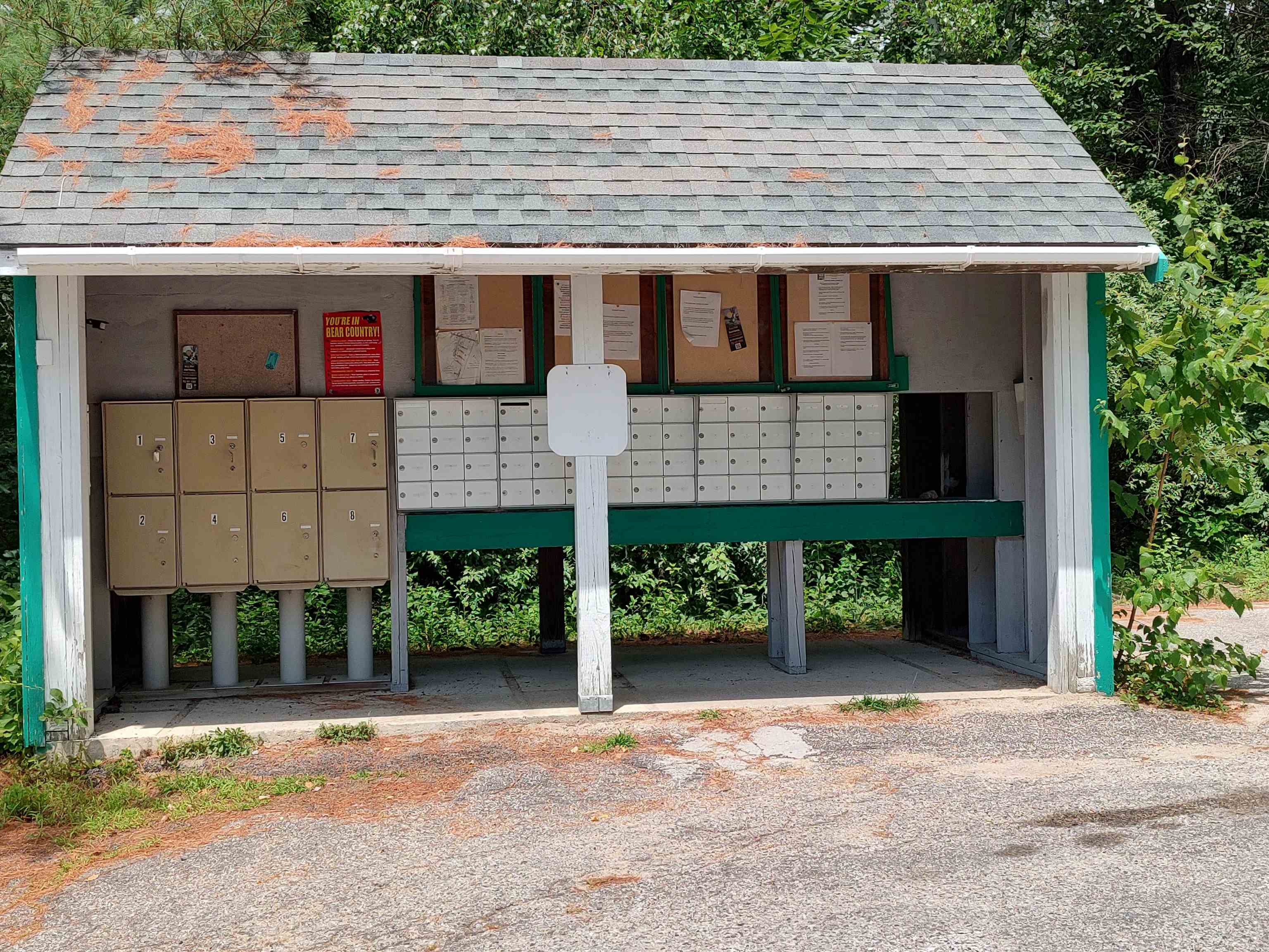 14 Pine Tree Drive Tuftonboro, NH 03816 - Photo 47 of 60