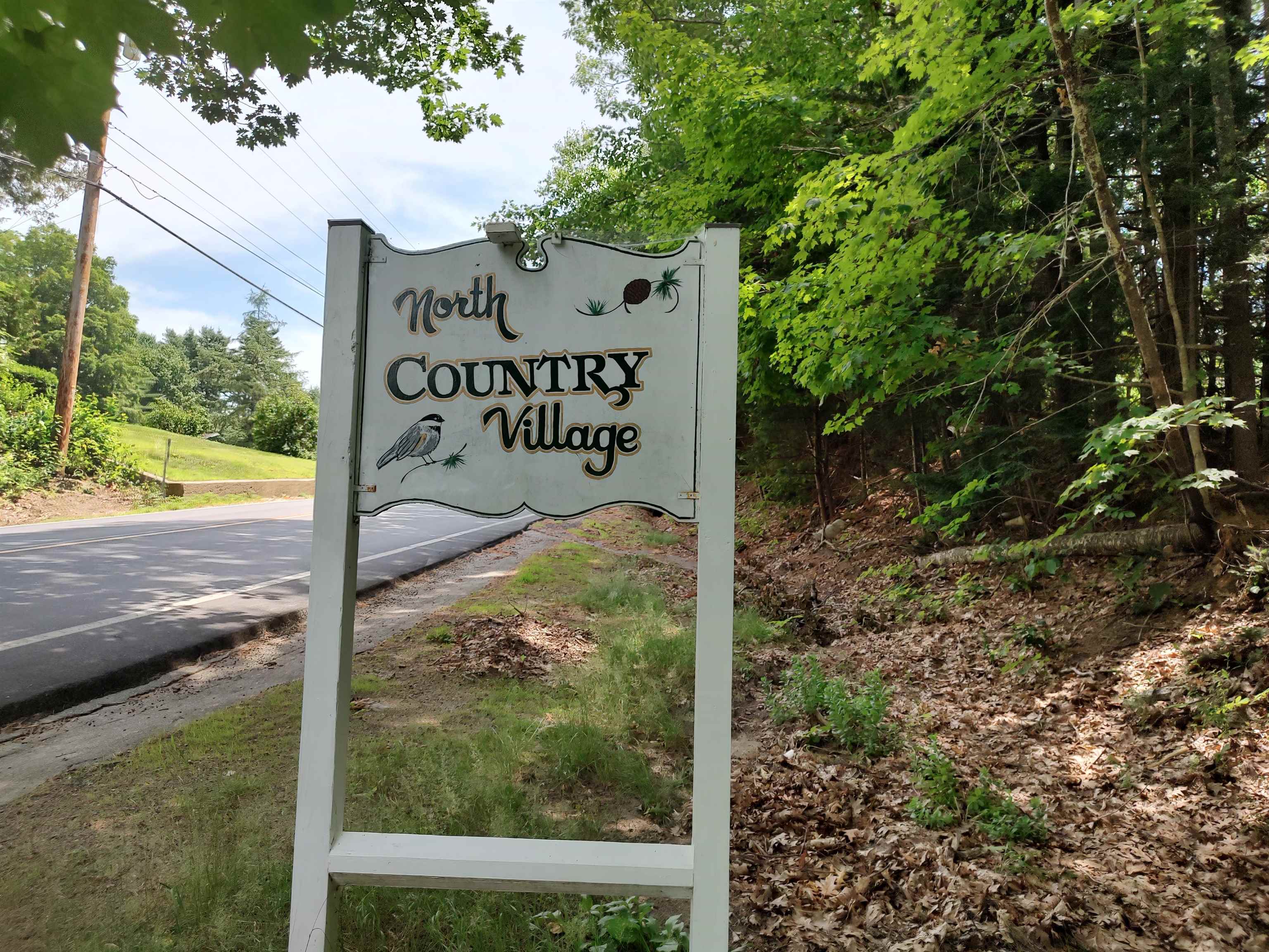 14 Pine Tree Drive Tuftonboro, NH 03816 - Photo 53 of 60