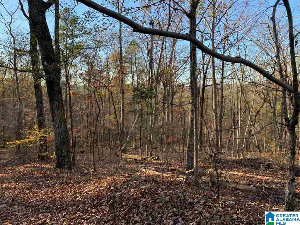 240 Larkhaven Lane, Unit 20 ACRES Springville, AL 35146 - Photo 3 of 17
